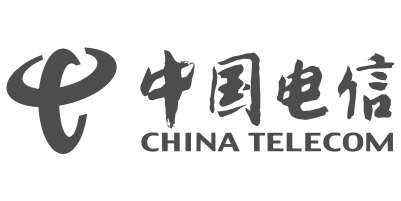 湖南远大广告传媒政企通信行业合作标杆：中国电信 (China Telecom) 品牌Logo